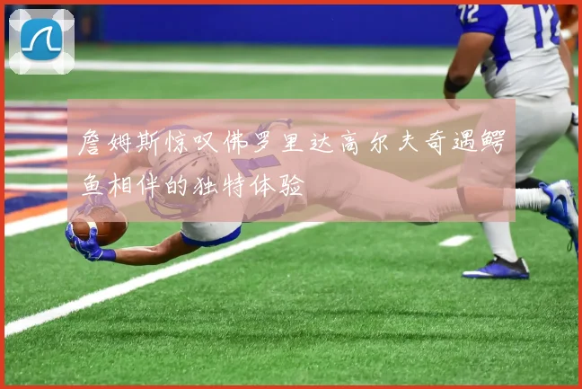 詹姆斯惊叹佛罗里达高尔夫奇遇鳄鱼相伴的独特体验